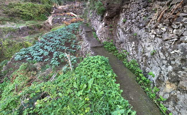 Approach to the canyon Ribeira Funda Meia Legua