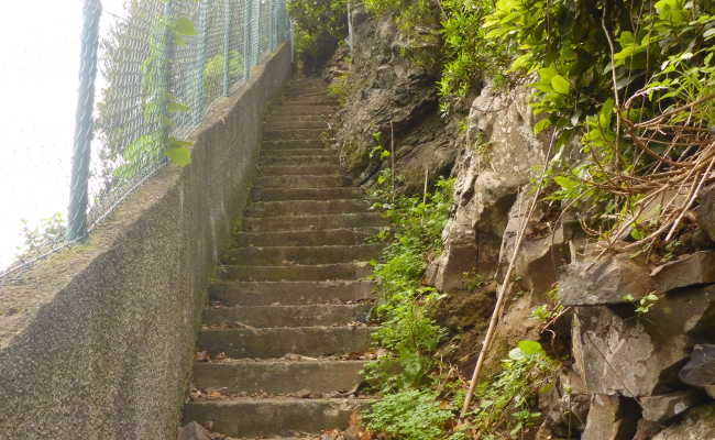 Access to Ribeira das Furnas in Madeira