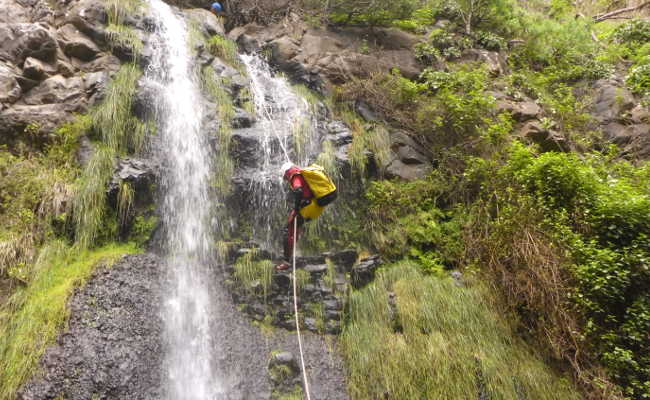 Description Furnas